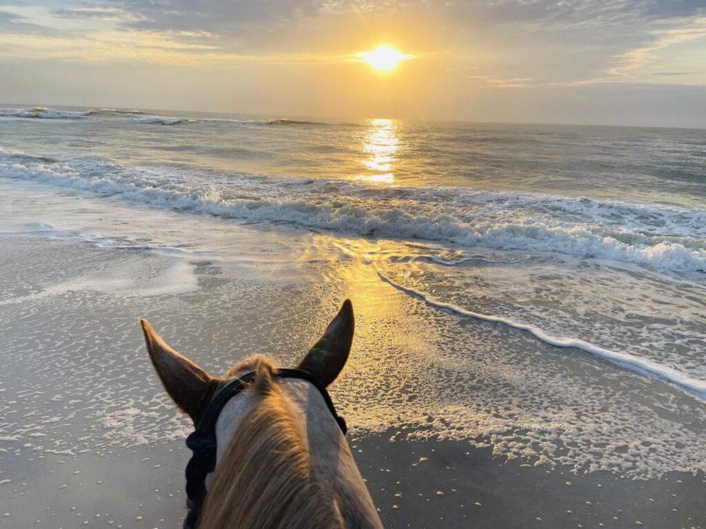 horsing starting at the sunset on Amelia Islands beaches 