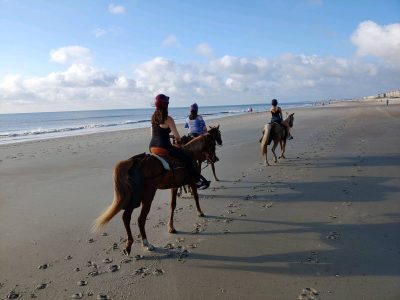 Horseback beach ride
