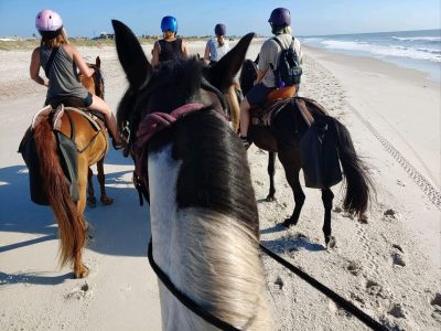 Beach horse ride in FL