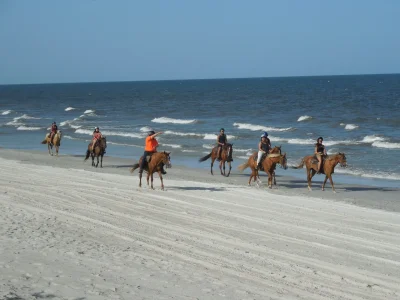 Beach horse riding