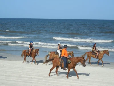 beach horse riding on Amelia island