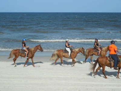 Group horse riding
