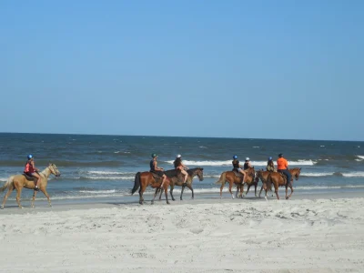 horse riding on a beach