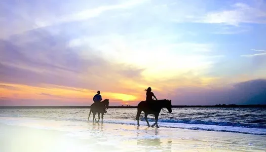 Sunrise horse riding on beach