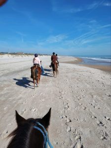 FL horseback beach ride