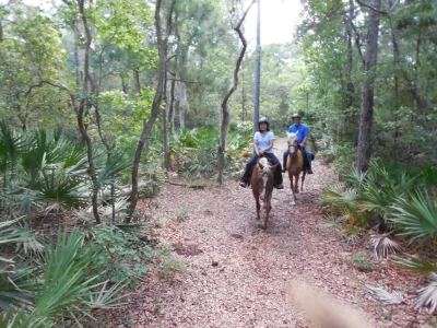 Trail horse riding n Amelia Island