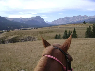 Trail horse riding with mountains