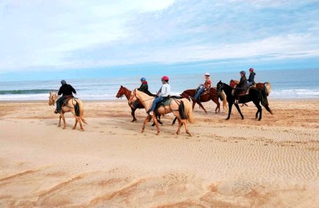 group beach horseback ride on Tennessee Walking Horses